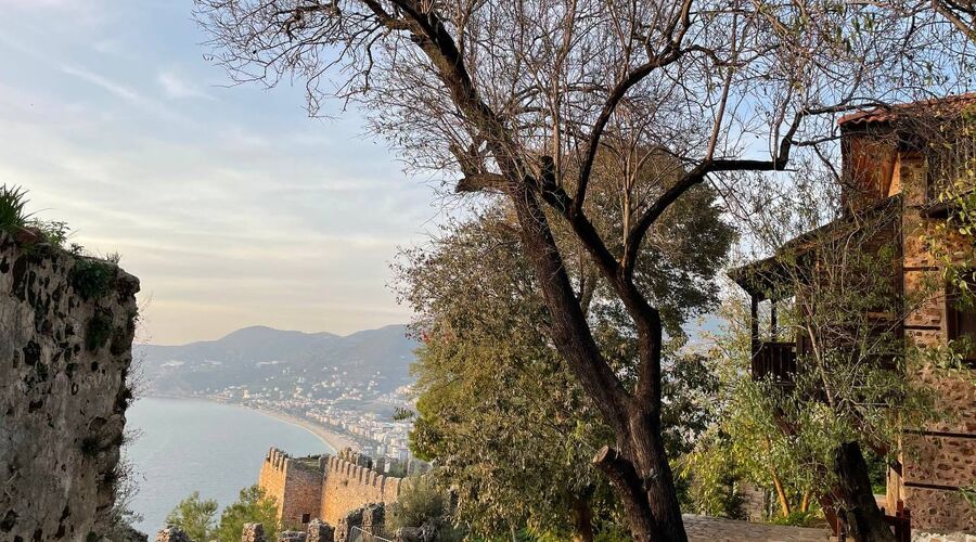 Alanya Tropikal Meyve Festivali-Alanya Side Turu 