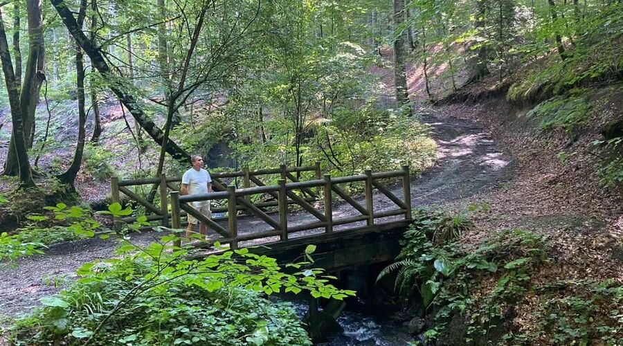 Yedigöller Abant Gölcük Amasra Safranbolu- Batı Karadeniz Turu Yaprak Dökümü Zamanı 