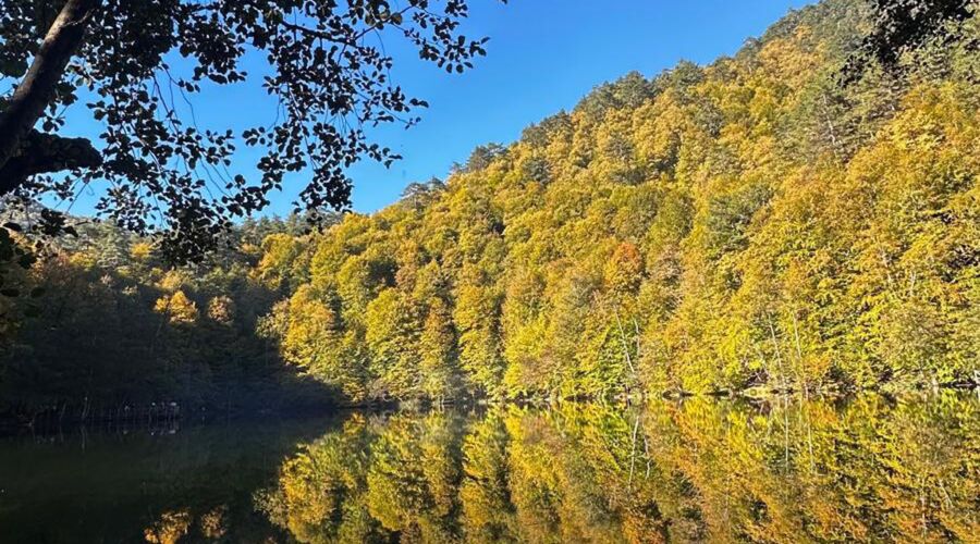 Yedigöller Abant Gölcük Amasra Safranbolu- Batı Karadeniz Turu Yaprak Dökümü Zamanı 