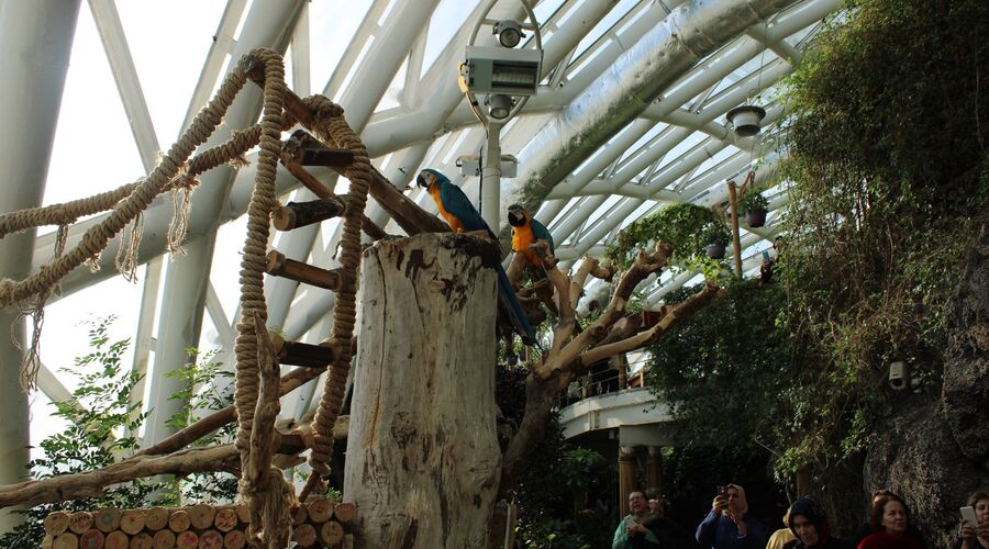 Konya Mevlana  Şeb-i Arus Törenleri Sema Gösterisi Kelebekler Bahçesi Turu