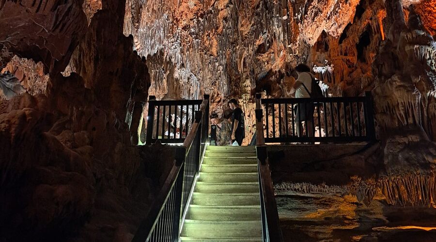 14. Uluslararası Alanya Noel Pazarı Etkinlikleri- Manavgat- Side Turu  